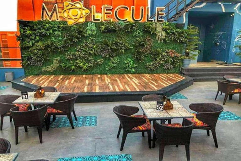 Molecule Air Bar-Gurugram2